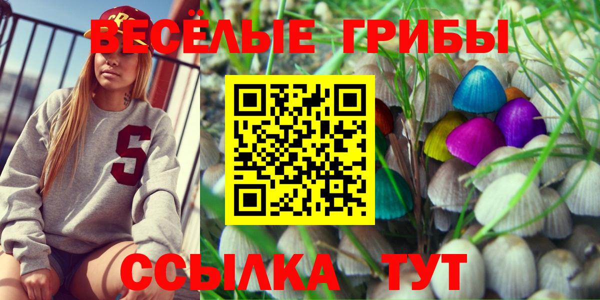 Псилоцибиновые грибы мухоморы Ликино-Дулёво