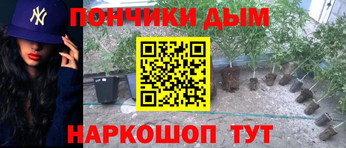Каннабис Bruce Banner  Конопля SATIVA & INDICA  Вход с VPN  Ликино-Дулёво  МАРИХУАНА сатива  Бошки марихуана марихуана 
